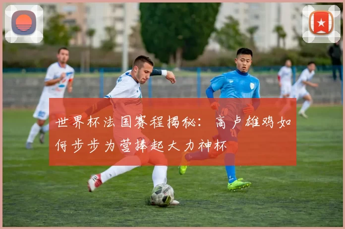 世界杯法国赛程揭秘：高卢雄鸡如何步步为营捧起大力神杯
