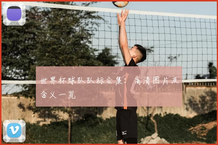世界杯球队队标合集：高清图片及含义一览