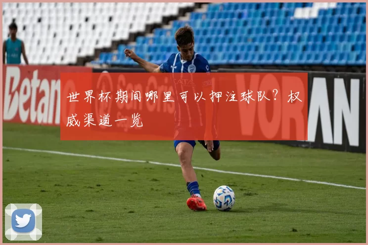 世界杯期间哪里可以押注球队？权威渠道一览