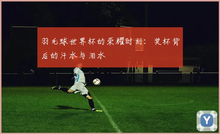 羽毛球世界杯的荣耀时刻：奖杯背后的汗水与泪水