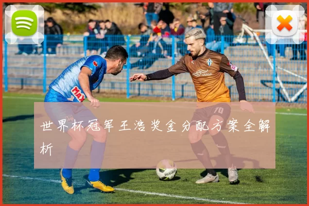 世界杯冠军王浩奖金分配方案全解析