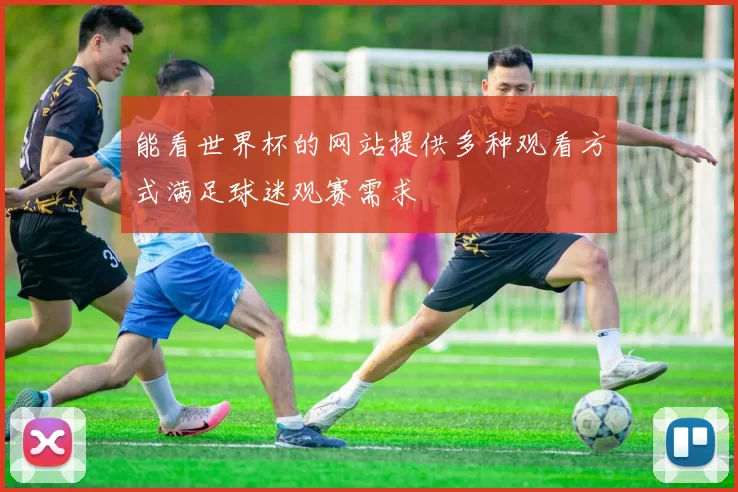 能看世界杯的网站提供多种观看方式满足球迷观赛需求