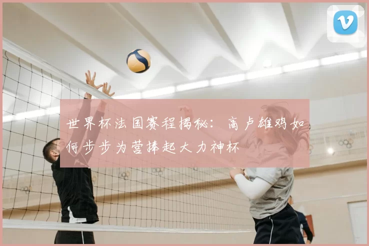 世界杯法国赛程揭秘：高卢雄鸡如何步步为营捧起大力神杯