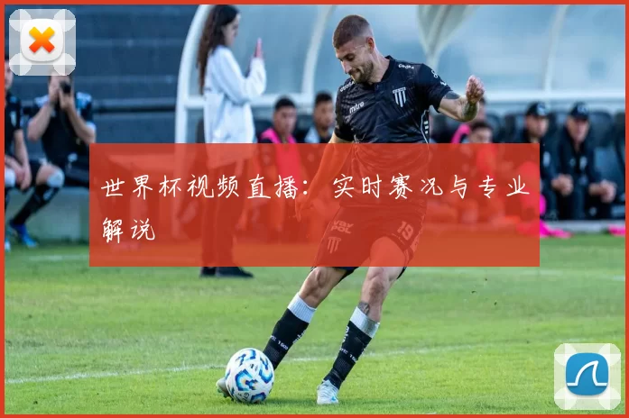 世界杯视频直播：实时赛况与专业解说