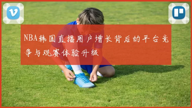 NBA韩国直播用户增长背后的平台竞争与观赛体验升级
