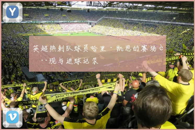 英超热刺队球员哈里·凯恩的赛场表现与进球记录