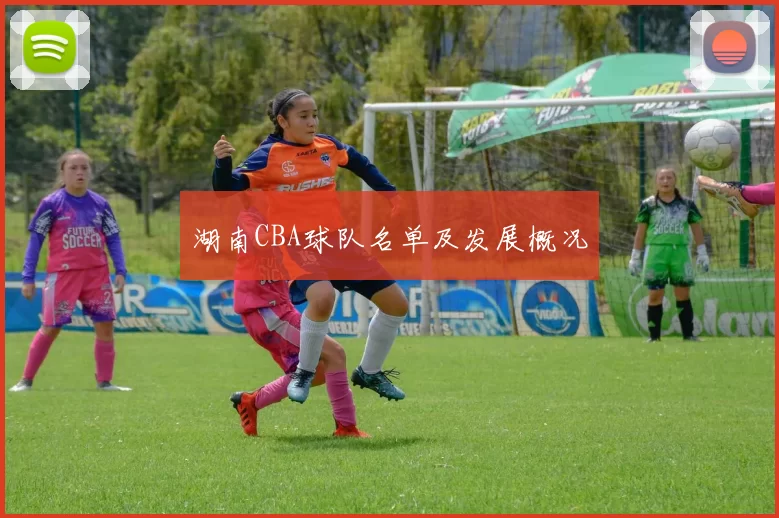 湖南CBA球队名单及发展概况