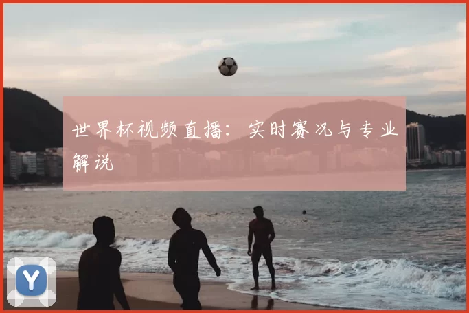 世界杯视频直播：实时赛况与专业解说