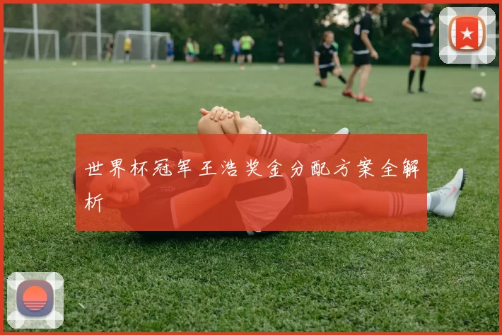 世界杯冠军王浩奖金分配方案全解析