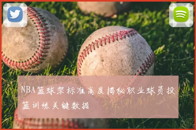 NBA篮球架标准高度揭秘职业球员投篮训练关键数据