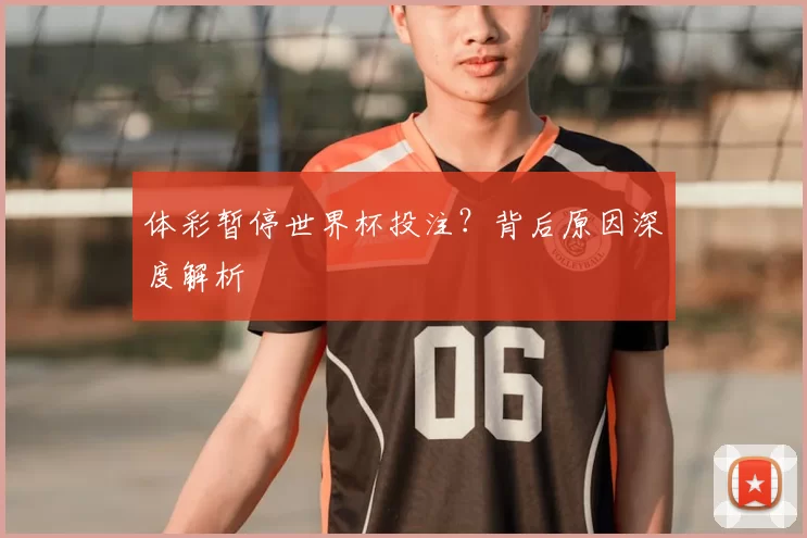 体彩暂停世界杯投注?背后原因深度解析