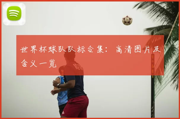 世界杯球队队标合集：高清图片及含义一览