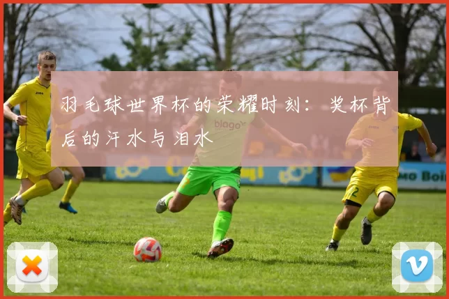 羽毛球世界杯的荣耀时刻：奖杯背后的汗水与泪水