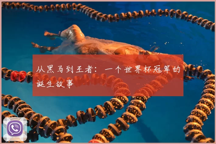 从黑马到王者：一个世界杯冠军的诞生故事