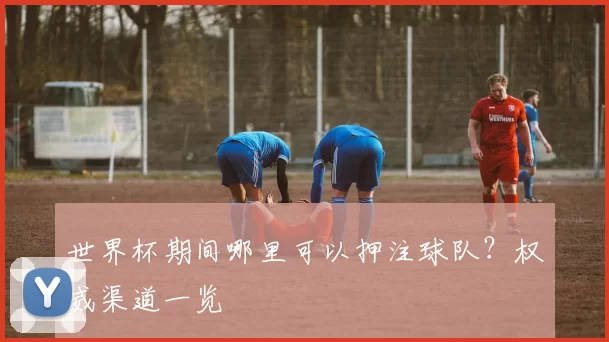 世界杯期间哪里可以押注球队？权威渠道一览