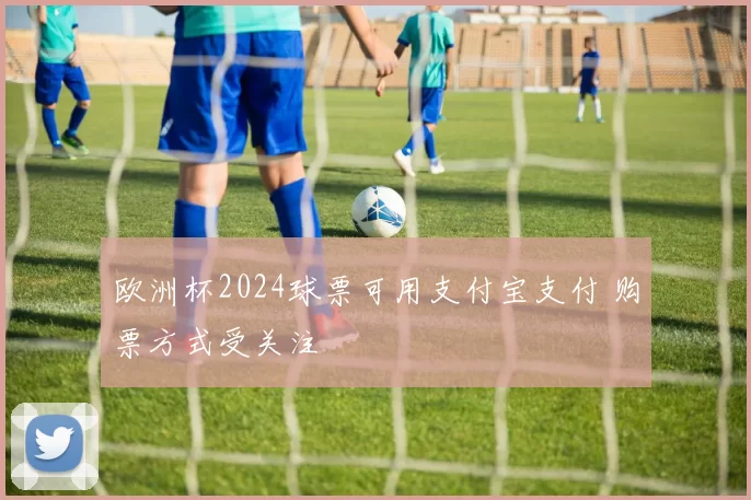 欧洲杯2024球票可用支付宝支付 购票方式受关注