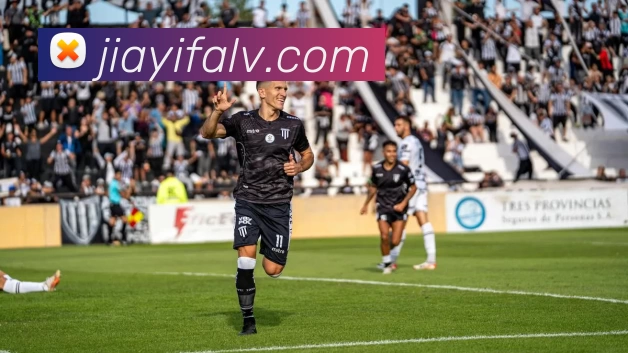 爱游戏体育平台生态图