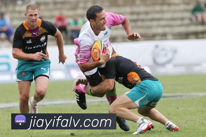 爱游戏体育APP 封面图